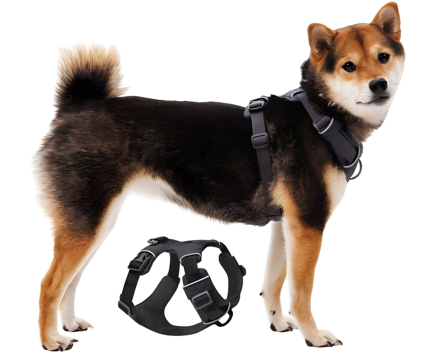 Padded Dog Harness for Daily Use | Dual Attachment