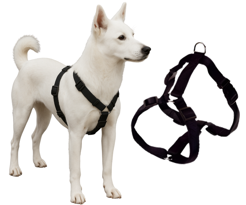 Canine Harness for Neurological Rehabilitation | 5 Sizes