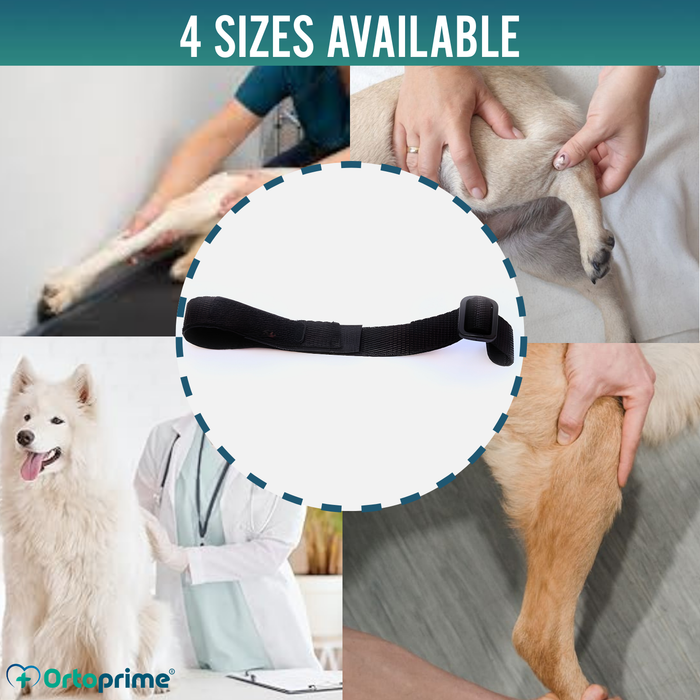 Dog Lumbar Support Strap for Knee Immobiliser