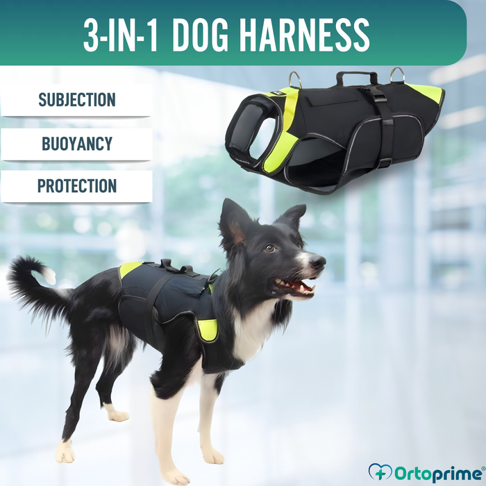 3-in-1 Multifunctional Dog Harness in Neoprene | 4 Sizes