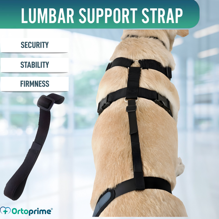 Dog Lumbar Support Strap for Knee Immobiliser