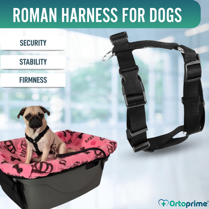Canine Harness for Neurological Rehabilitation | 5 Sizes