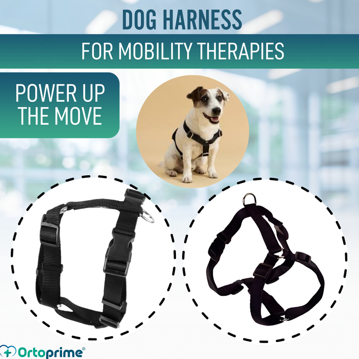 Canine Harness for Neurological Rehabilitation | 5 Sizes