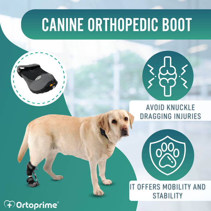 Dog Proprioceptive Corrector Boot | Rubber Sole