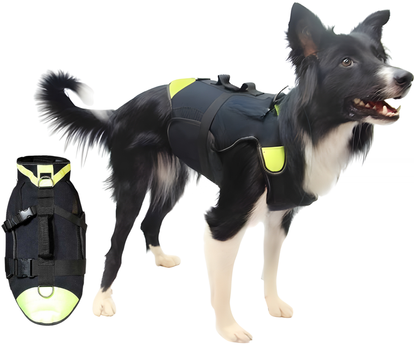 3-in-1 Multifunctional Dog Harness in Neoprene | 4 Sizes
