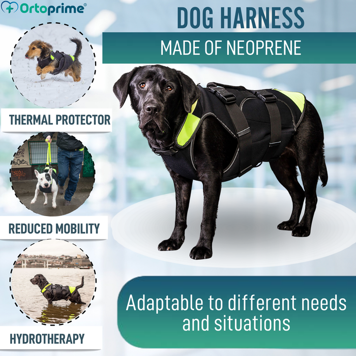 3-in-1 Multifunctional Dog Harness in Neoprene | 4 Sizes