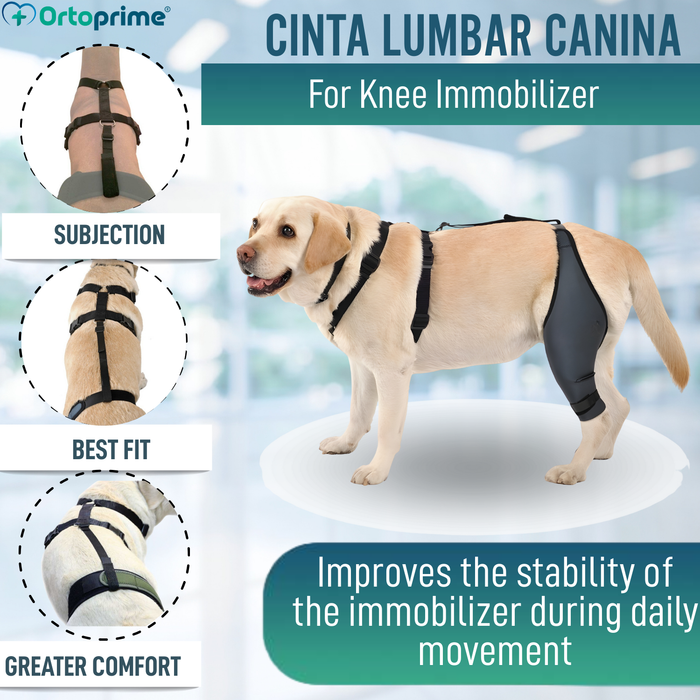 Dog Lumbar Support Strap for Knee Immobiliser