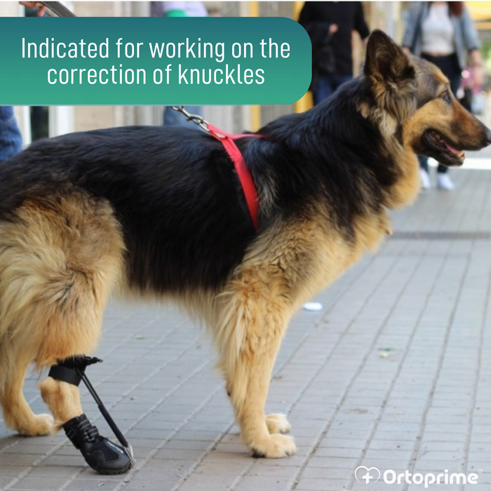 Dog Proprioceptive Corrector Boot | Rubber Sole