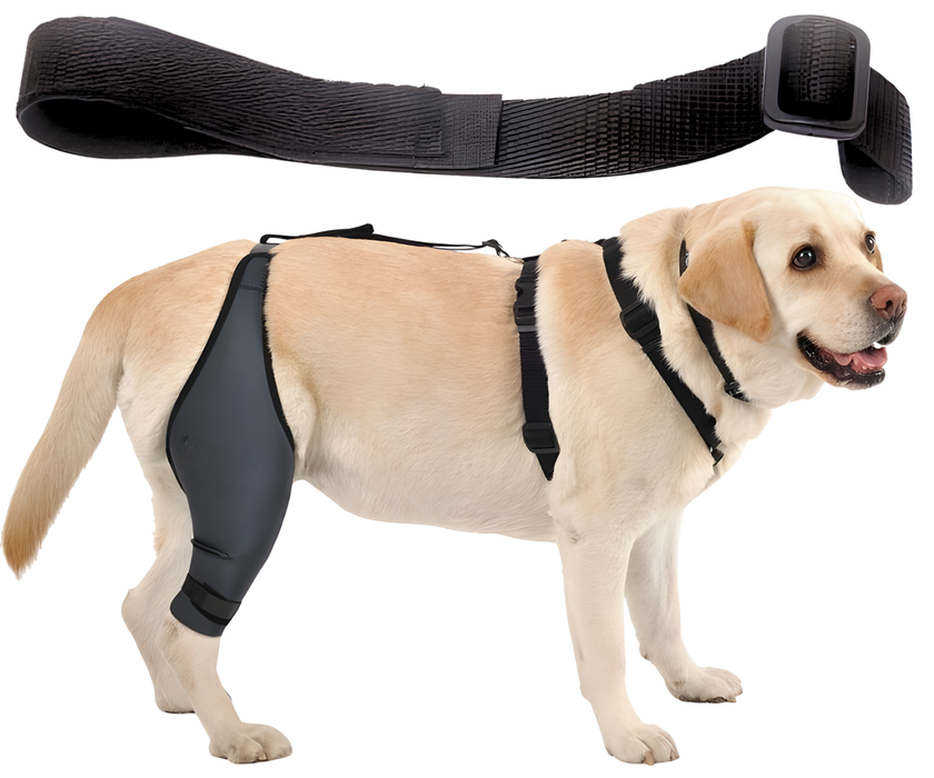 Dog Lumbar Support Strap for Knee Immobiliser