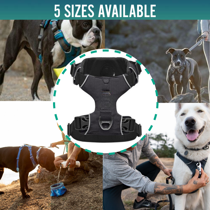 Padded Dog Harness for Daily Use | Dual Attachment