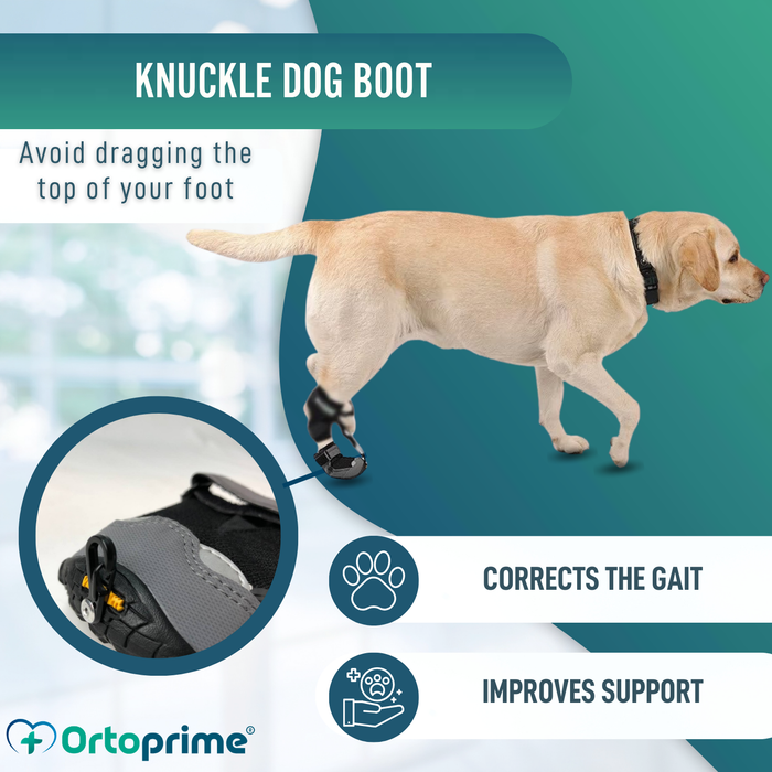 Dog Proprioceptive Corrector Boot | Rubber Sole