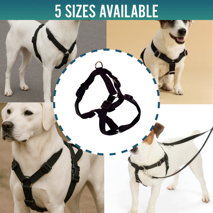 Canine Harness for Neurological Rehabilitation | 5 Sizes