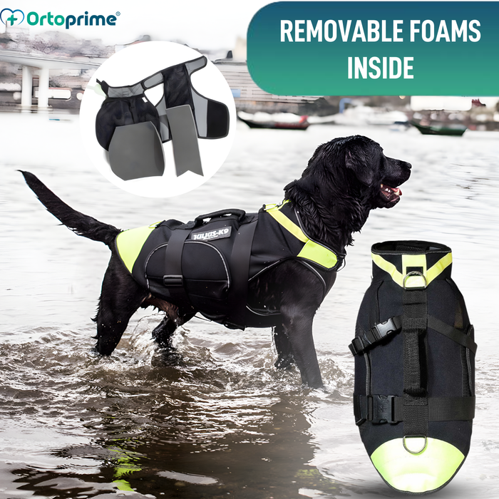 3-in-1 Multifunctional Dog Harness in Neoprene | 4 Sizes