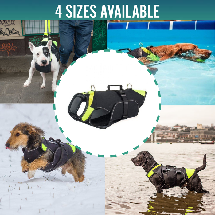 3-in-1 Multifunctional Dog Harness in Neoprene | 4 Sizes