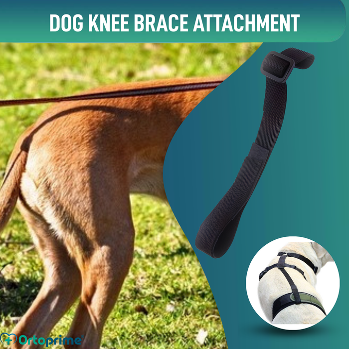 Dog Lumbar Support Strap for Knee Immobiliser