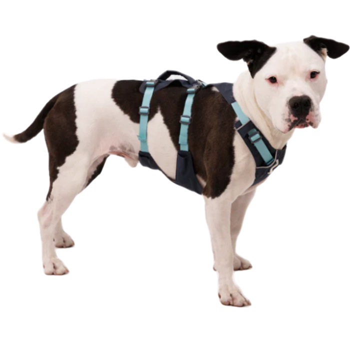 Multi-Purpose Dog Lifting Harness | Reinforced Structure