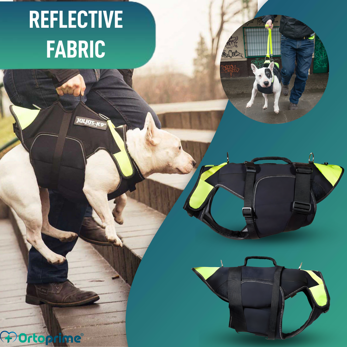 3-in-1 Multifunctional Dog Harness in Neoprene | 4 Sizes