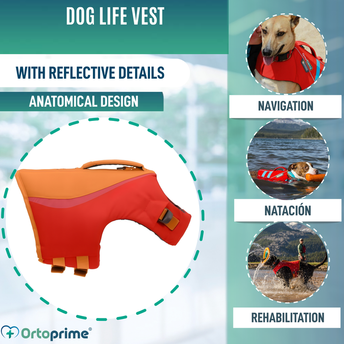 Reddingsvest voor Honden Multifunctioneel | Waterveiligheid