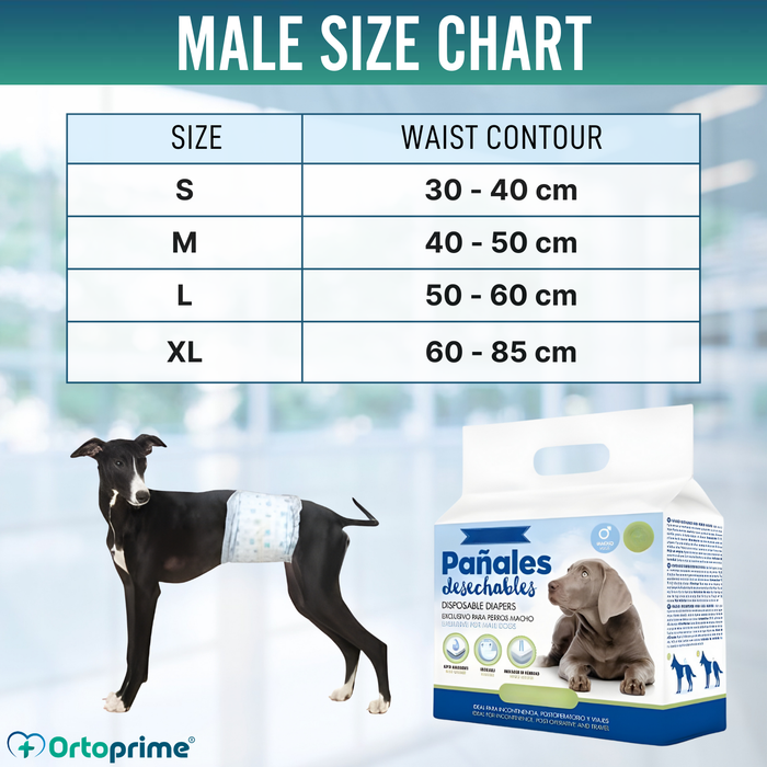 Ultra Absorbent Male Dog Diapers | Pack of 12