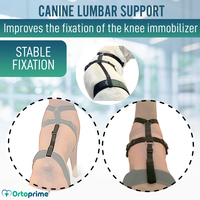 Dog Lumbar Support Strap for Knee Immobiliser