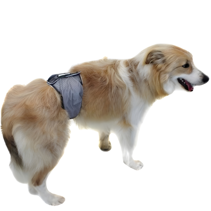Anti-Leak Dog Diaper for Incontinence | Male Dog