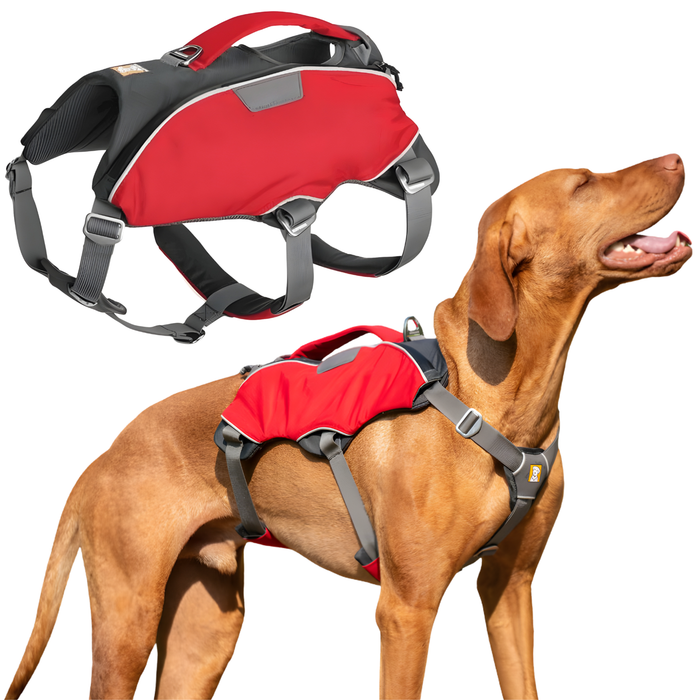 Search & Rescue Dog Harness | High Durability