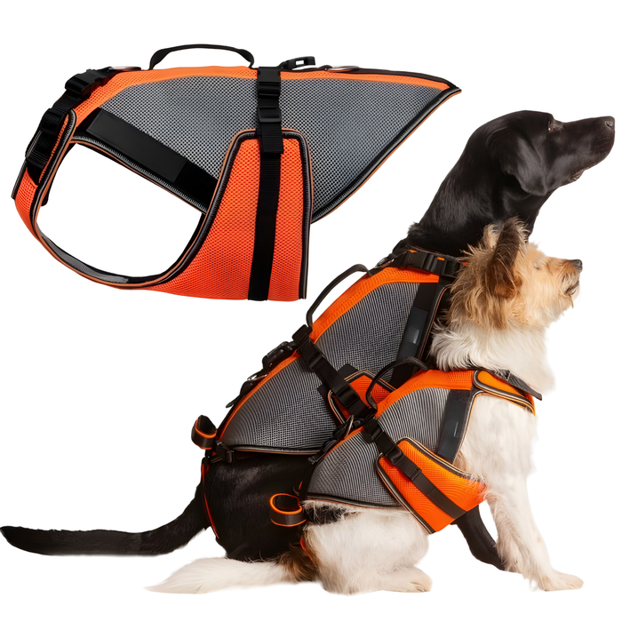 Complete Rehabilitation Harness for Dogs | 3D Material