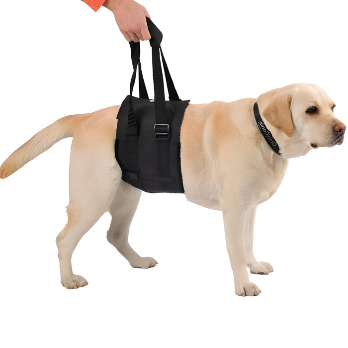 Support Sling for Dogs with Reduced Mobility | 5 Sizes