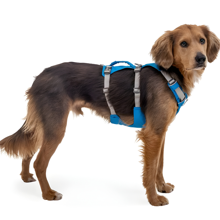 Multi-Purpose Dog Lifting Harness | Reinforced Structure