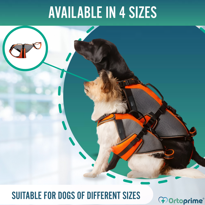 Complete Rehabilitation Harness for Dogs | 3D Material