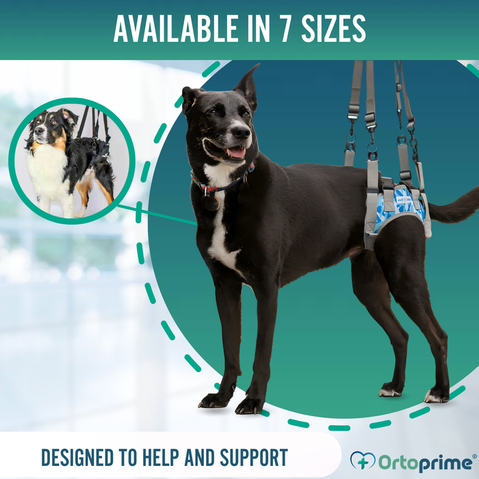 Dog Harness for Reduced Mobility in the Rear Legs
