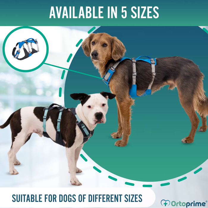 Multi-Purpose Dog Lifting Harness | Reinforced Structure
