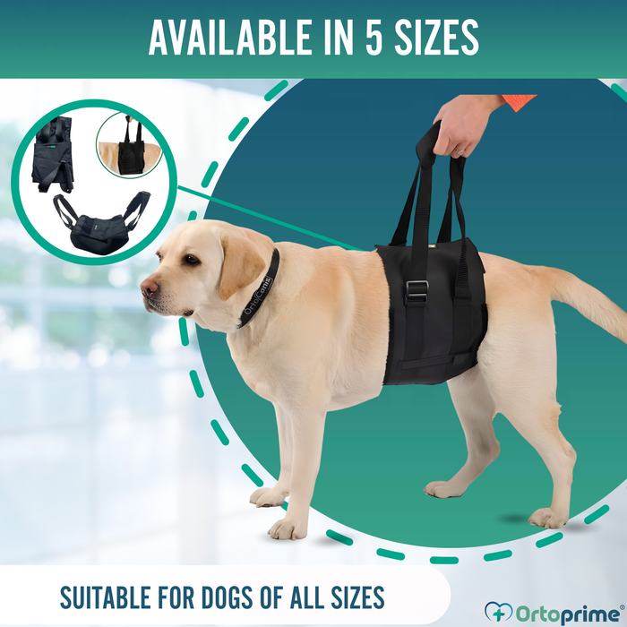 Support Sling for Dogs with Reduced Mobility | 5 Sizes