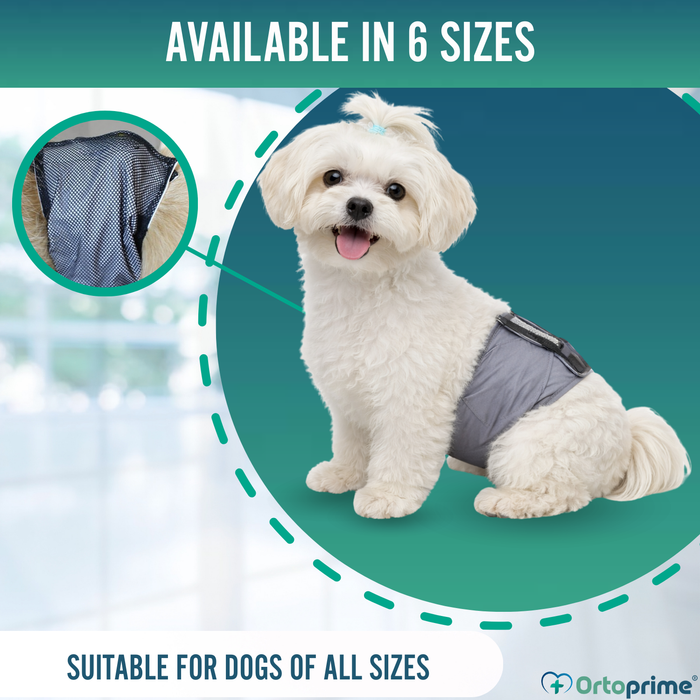 Anti-Leak Dog Diaper for Incontinence | Male Dog