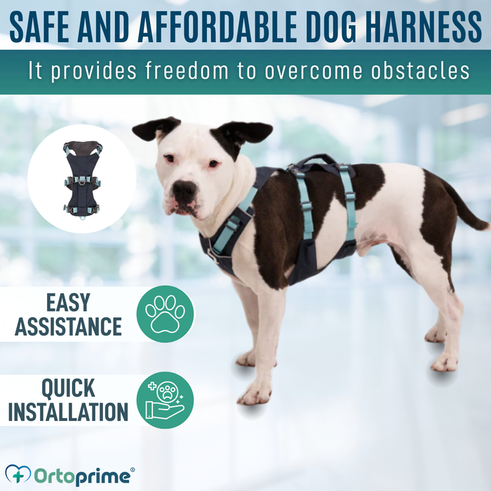 Multi-Purpose Dog Lifting Harness | Reinforced Structure