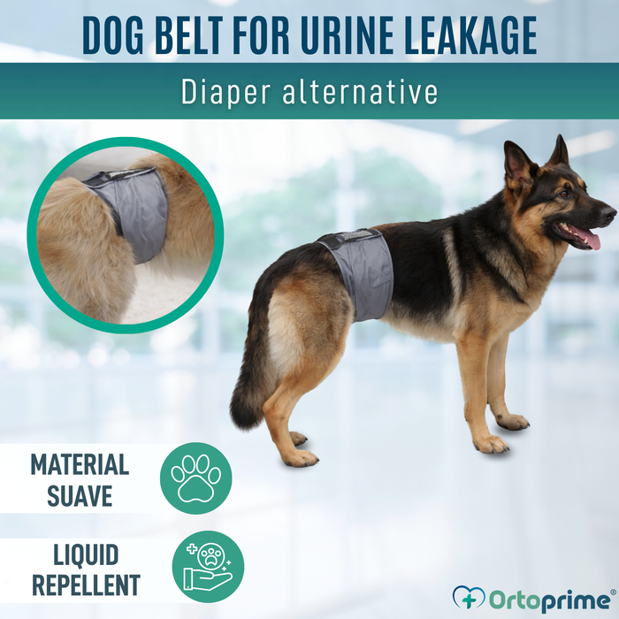 Anti-Leak Dog Diaper for Incontinence | Male Dog