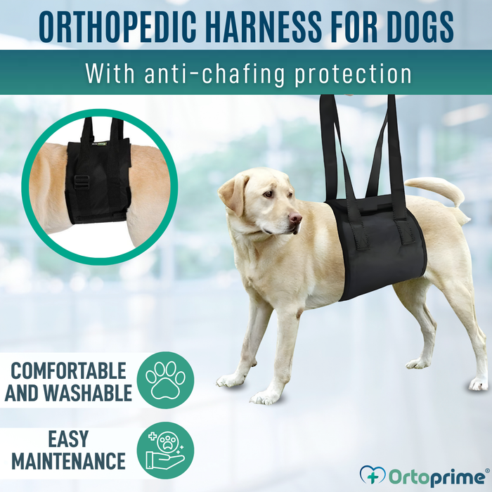 Support Sling for Dogs with Reduced Mobility | 5 Sizes