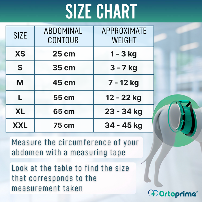 Anti-Leak Dog Diaper for Incontinence | Male Dog