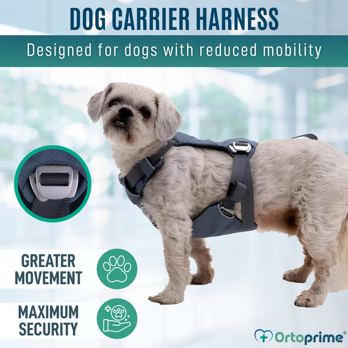 Dog Safety Harness for Transport | High Strength