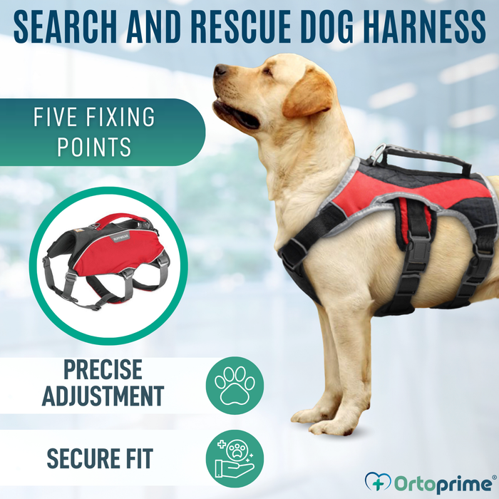 Search & Rescue Dog Harness | High Durability