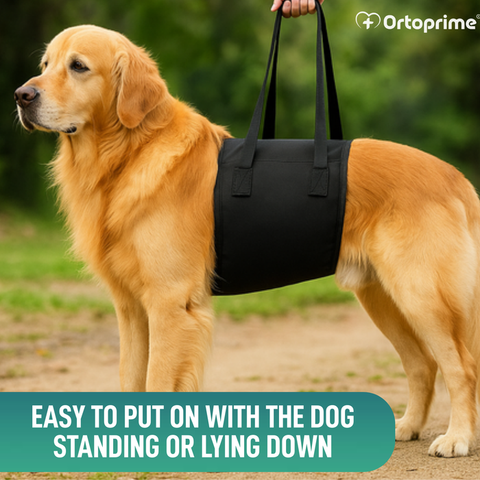 Support Sling for Dogs with Reduced Mobility | 5 Sizes