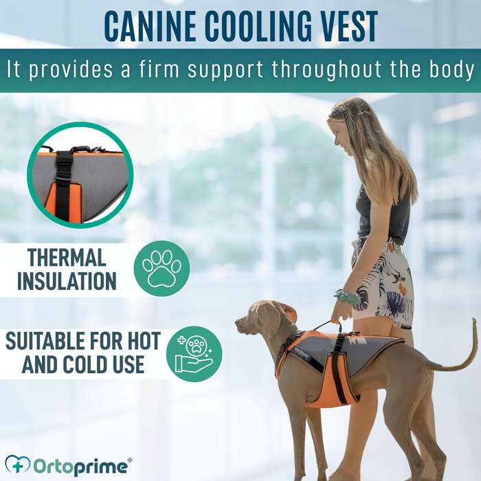 Complete Rehabilitation Harness for Dogs | 3D Material