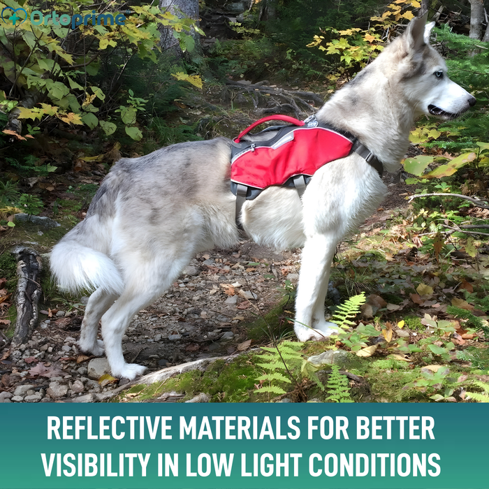 Search & Rescue Dog Harness | High Durability