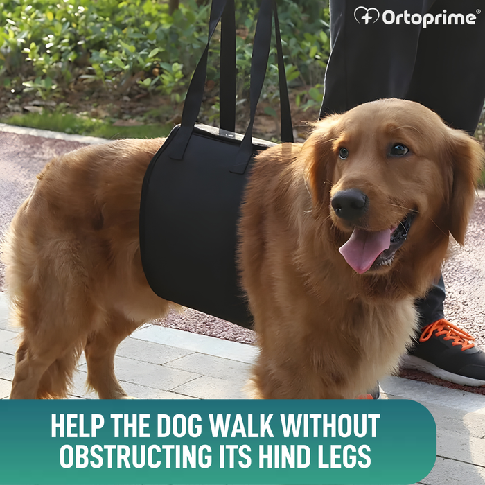 Support Sling for Dogs with Reduced Mobility | 5 Sizes