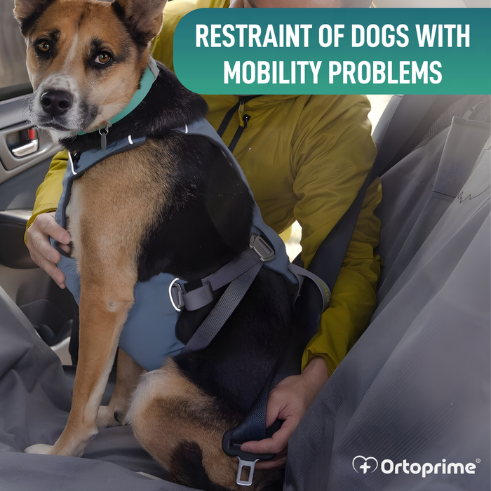 Dog Safety Harness for Transport | High Strength