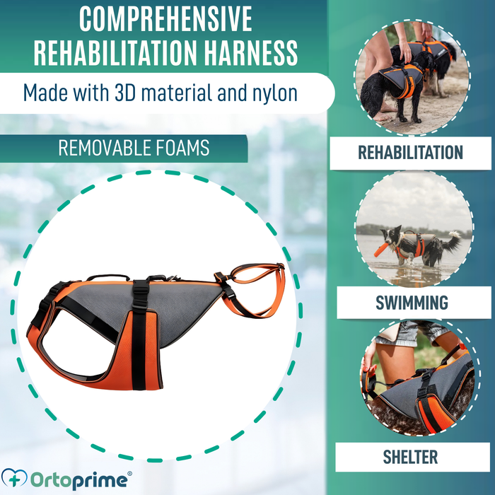 Complete Rehabilitation Harness for Dogs | 3D Material