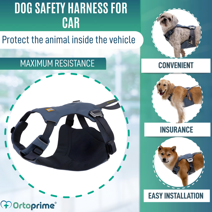Dog Safety Harness for Transport | High Strength