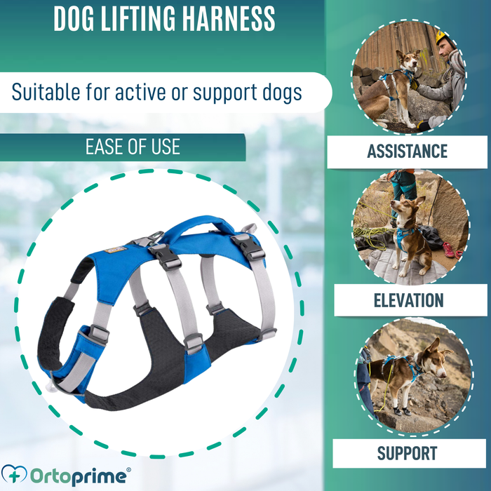 Multi-Purpose Dog Lifting Harness | Reinforced Structure