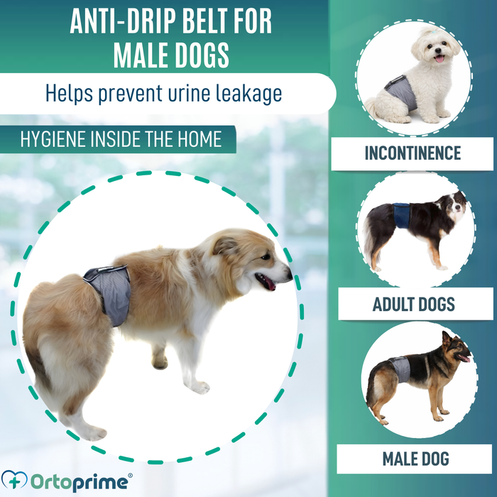 Anti-Leak Dog Diaper for Incontinence | Male Dog