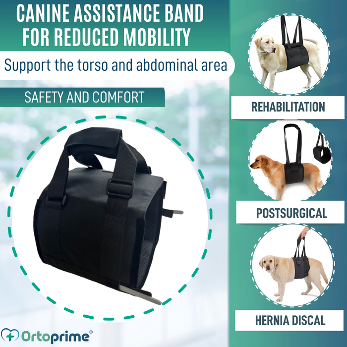 Support Sling for Dogs with Reduced Mobility | 5 Sizes